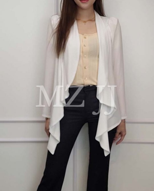 BZ10504WH Blazer