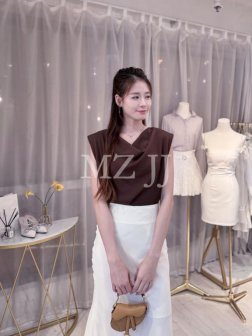 BL14913BR Blouse