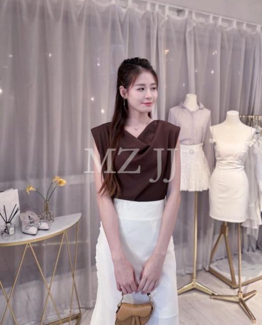 BL14913BR Blouse
